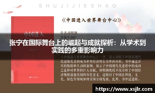 张宁在国际舞台上的崛起与成就探析：从学术到实践的多重影响力